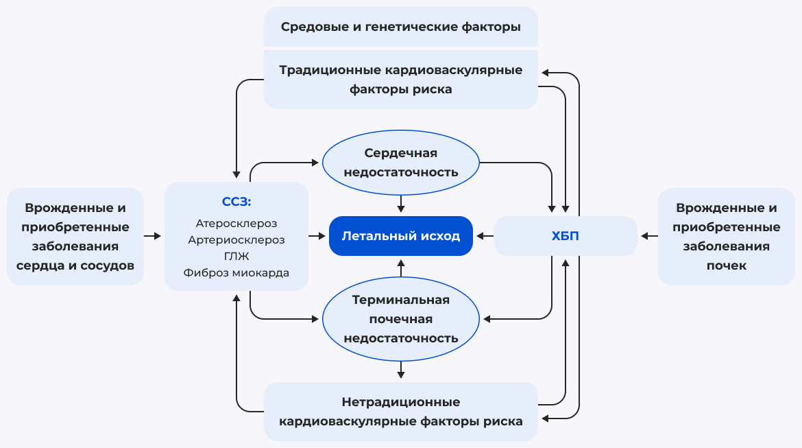 Рисунок 2. Патогенетические связи сердечно-сосудистых заболеваний и ХБП